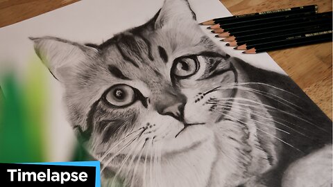 Cat Drawing Timelapse | ATLArtStudio |