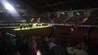 Horse Roundup