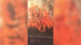 VIDEO: Hudson fire on Old Dixie Highway