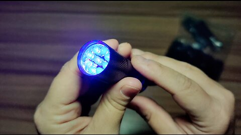 10 Pc Black Light UV Flashlight