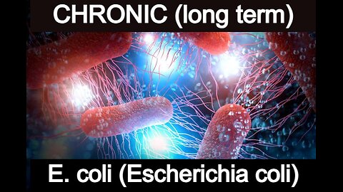 Chronic (long term) Escherichia coli -Ecoli