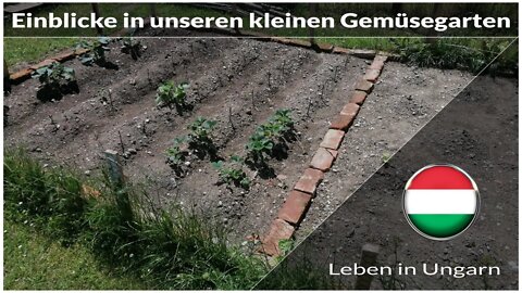 Einblicke in unseren kleinen Gemüsegarten - Leben in Ungarn