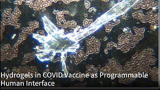 Hydrogels in COVID Vaccine as Programmable Human Interface l Greg Reese