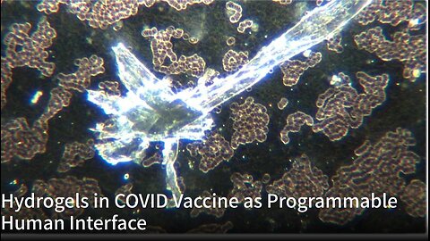 Hydrogels in COVID Vaccine as Programmable Human Interface l Greg Reese