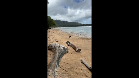 Captains Log Anahola Beach Kauai