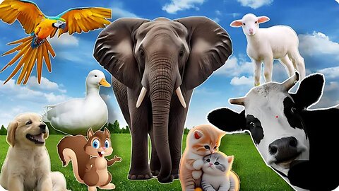 Learn about Adorable Family Animals : Cat, dog, duck, otter, cow, squirrel, otter - Animal Sounds