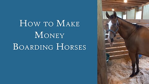 How to make money boarding horses