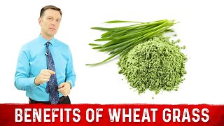 12 Scientific Health Benefits of Wheat Grass Powder by Dr. Berg