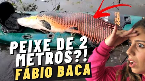 the gabiis pescaria - 🔴 PESCADOR FABIO BACA E THE GABIIS REAGINDO A SUAS PESCARIAS MONSTRUOSAS!!!