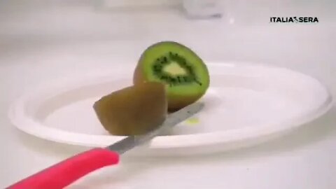 Kiwi Tests positive for Covid-19 🥝