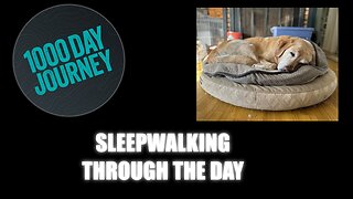 1000 Day Journey 0145 Sleepwalking Throughout My Day