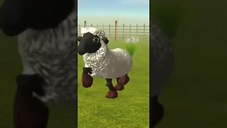 El Pollito Pío 3D - Canciones de la Granja de Zenón 705