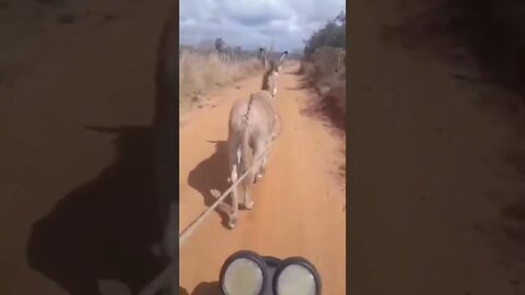 preço tá gasolina temos que economizar.