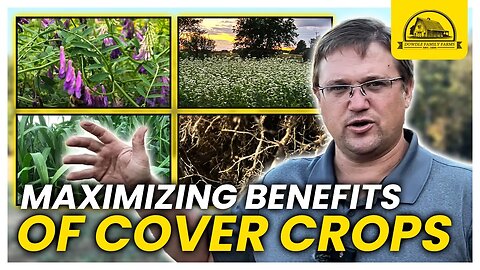 Cover Crops: 5 Questions to Maximize Their Benefit