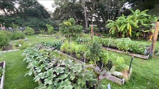 Bay area group provides fresh produce, pantry to food insecure community