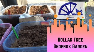 Dollar Store Shoebox Garden