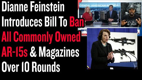 Dianne Feinstein Introduces Bill To Ban All Commonly Owned AR-15s & Magazines Over 10 Rounds - S736