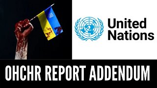 UN OHCHR Report Addendum - Inside Russia Report