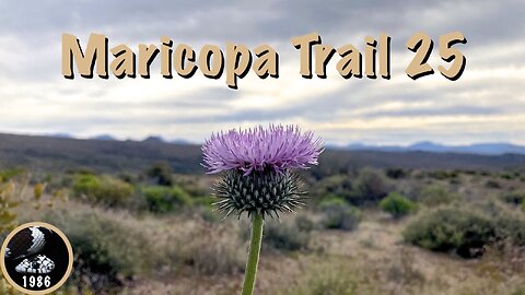 Maricopa Trail: Bartlett Dam Rd. to FR 1058