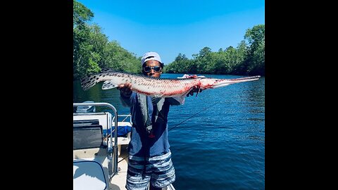 NEPHEW AKA FLORIDIAN DEEP SEA MONSTER