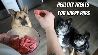 5 HEALTHY Foods for Your Dogs!