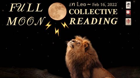 Full Moon 🌕 in Leo (February 16, 2022) Collective Reading