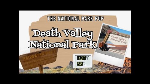 Exploring Death Valley National Park With My Dog - The National Park Pup