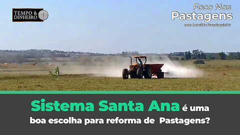 Sistema Santa Ana é uma boa escolha para reforma de Pastagens? Foco nas Pastagens tem a resposta