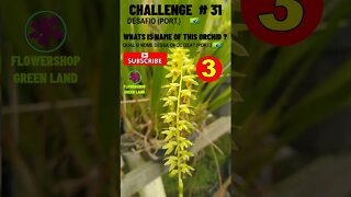 CHALLENGE # 31 |WHATS IS NAME OF THIS ORCHIDS?|YOU WANT TO LEARN? |# SHORT