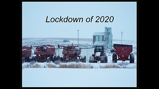 Covid Lockdown 2020 How Our Farmtown Was Open for Business