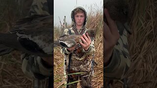 Foggy morning wigeon! #shorts #hunting #ducks #publicland #minnesota #waterfowl #outdoors