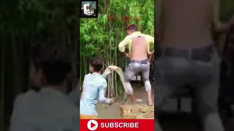 FUNNY NON STOP VIDEO MUST WATCH#!!! NEW FUNNY#