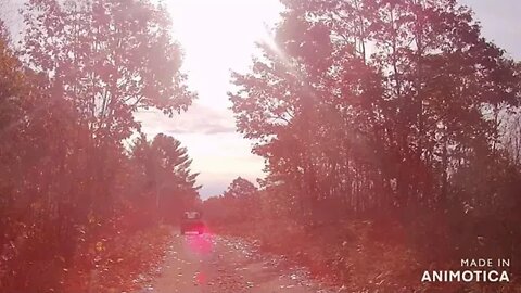 ATV Maine - Airline Diner through Cherryfield - Blueberry Barrens