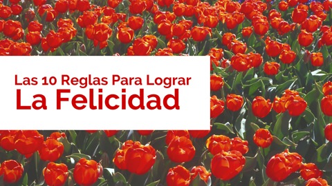 Las 10 Reglas Para Lograr La Felicidad