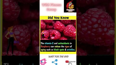 🔥Benefits of raspberry🔥#shorts🔥#wildfitnessgroup🔥20 May 2022🔥