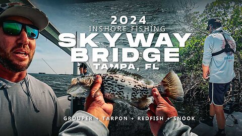 Skyway Bridge Fishing Tampa Florida Grouper Tarpon Redfish Snook | Mangroves + Bridge Legs