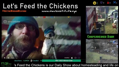 Folk Medicine and Gut Health : Let's Feed the Chickens : EP42 :