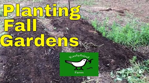 Planting Fall Gardens with the Kioti CK3510SE