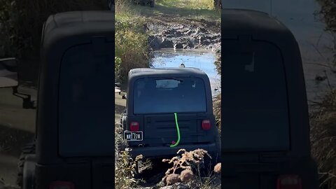 Jeep Barely Makes it Across Mud Hole
