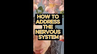 The nervous system 👍