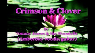 Crimson & Clover by T. James & the Shondells (AmberSky vocals/guitar)