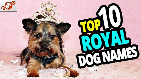 🐕 TOP 10 Royal Dog Names!