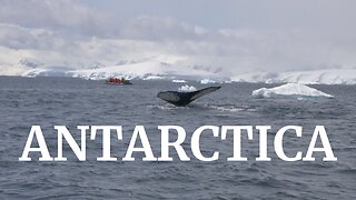 Antarctic Cruise on Viking Polaris