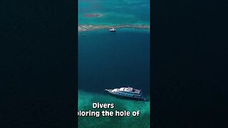 Discover the Mystery of the Great Blue Hole Dive into a Shark Paradise