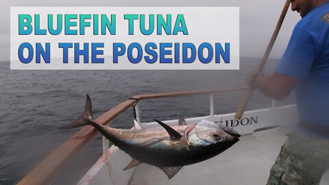 Poseidon Sportfishing Bluefin Tuna I GOT SMOKED ON A SPINNING REEL! San Diego Deep Sea Fishing 2022