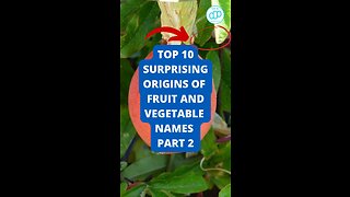 Top 10 Surprising Origins of Fruit and Vegetable Names Part 2