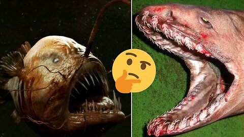 15 Scary Things Found By Submarines