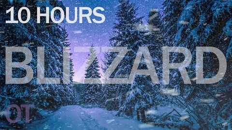 Blizzard Sounds for Sleep, Relaxation & Studying | Snowstorm Sounds in the forest | nature sounds