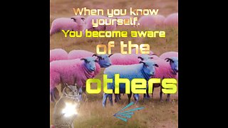 When you know yourself you become aware of the others