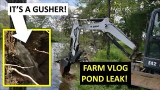 Pond leak repair, Polaris Ranger XP900 & more Labor Day VLOG!
